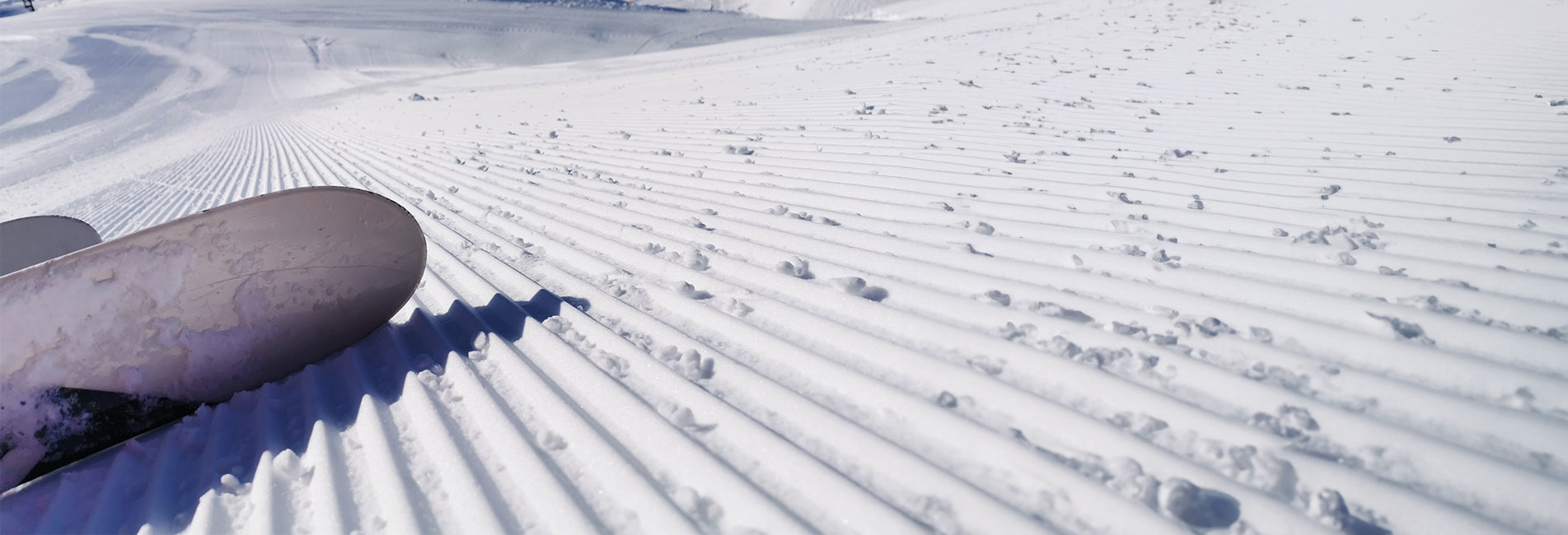 OnWinterTour2025-Bannerbild-Skier-seitlich